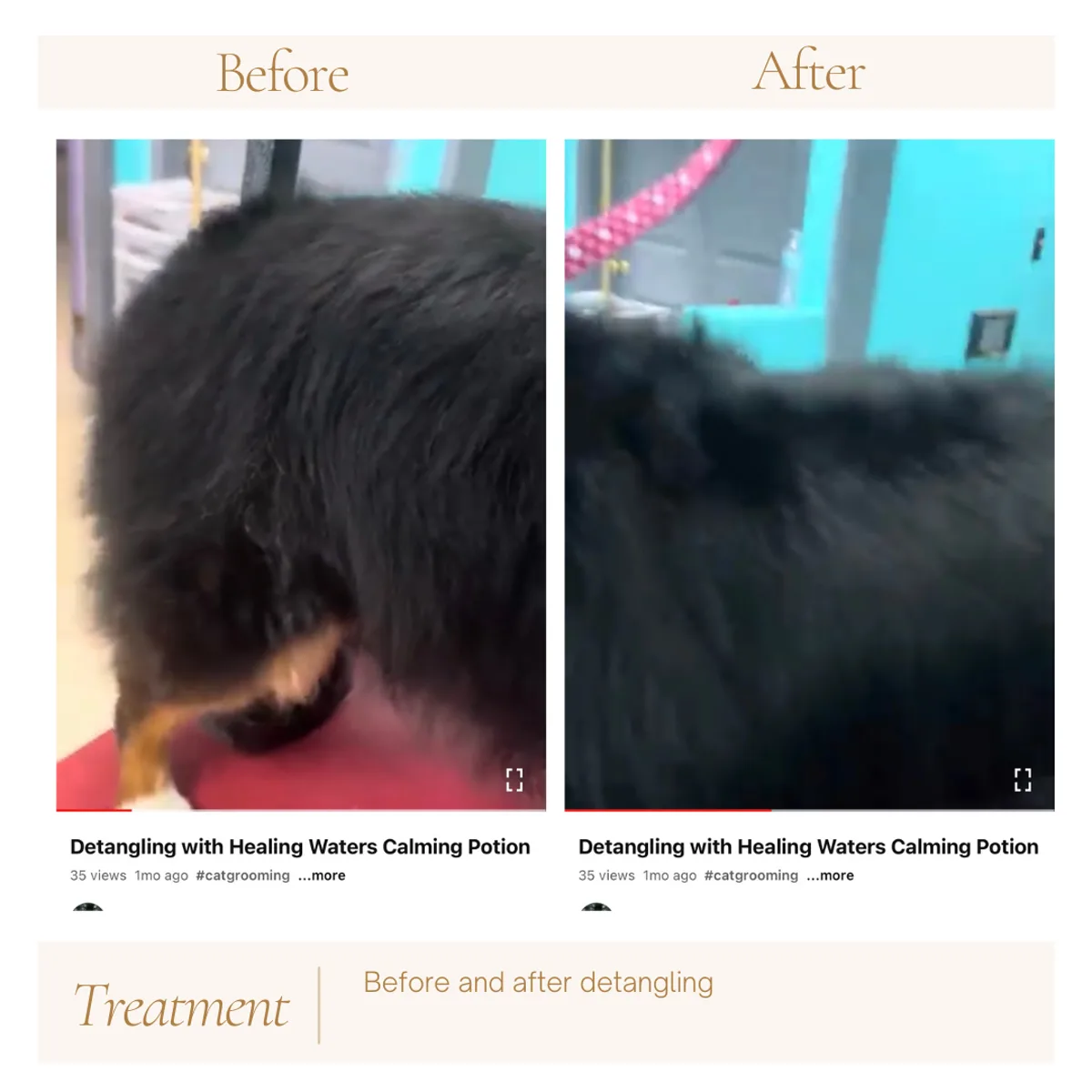 Cat detangling before and after with Healing Waters Calming Potion